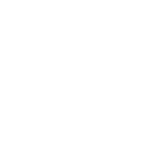 icon-2-2