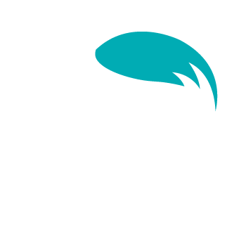 icone-3-Nov-24-2021-06-19-38-36-PM