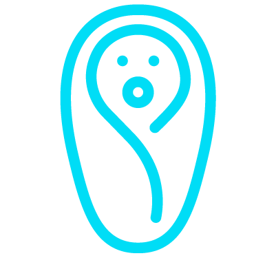 Secad-Eve-2408Fisio_Neo-LPs_Icon_4